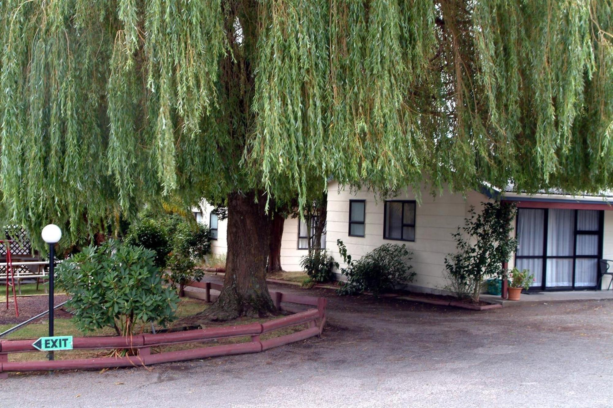 Motel Camellia Court Family 3*