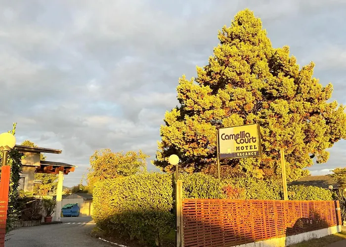 Camellia Court Family Motel